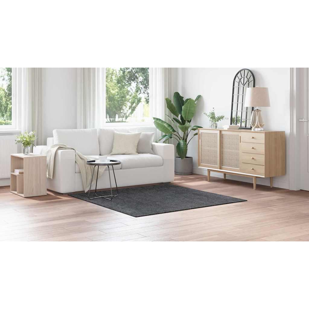 VidaXL  Teppich polypropylen 