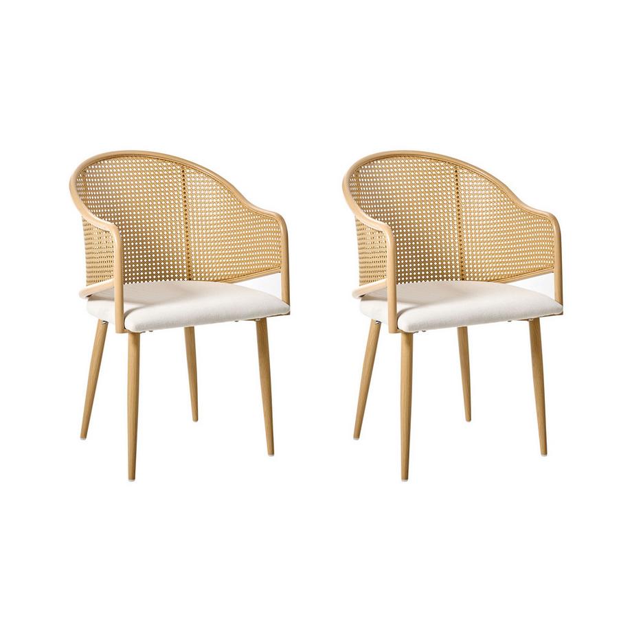 Lot de 2 chaises de salle à manger en Métal  WEIMAR