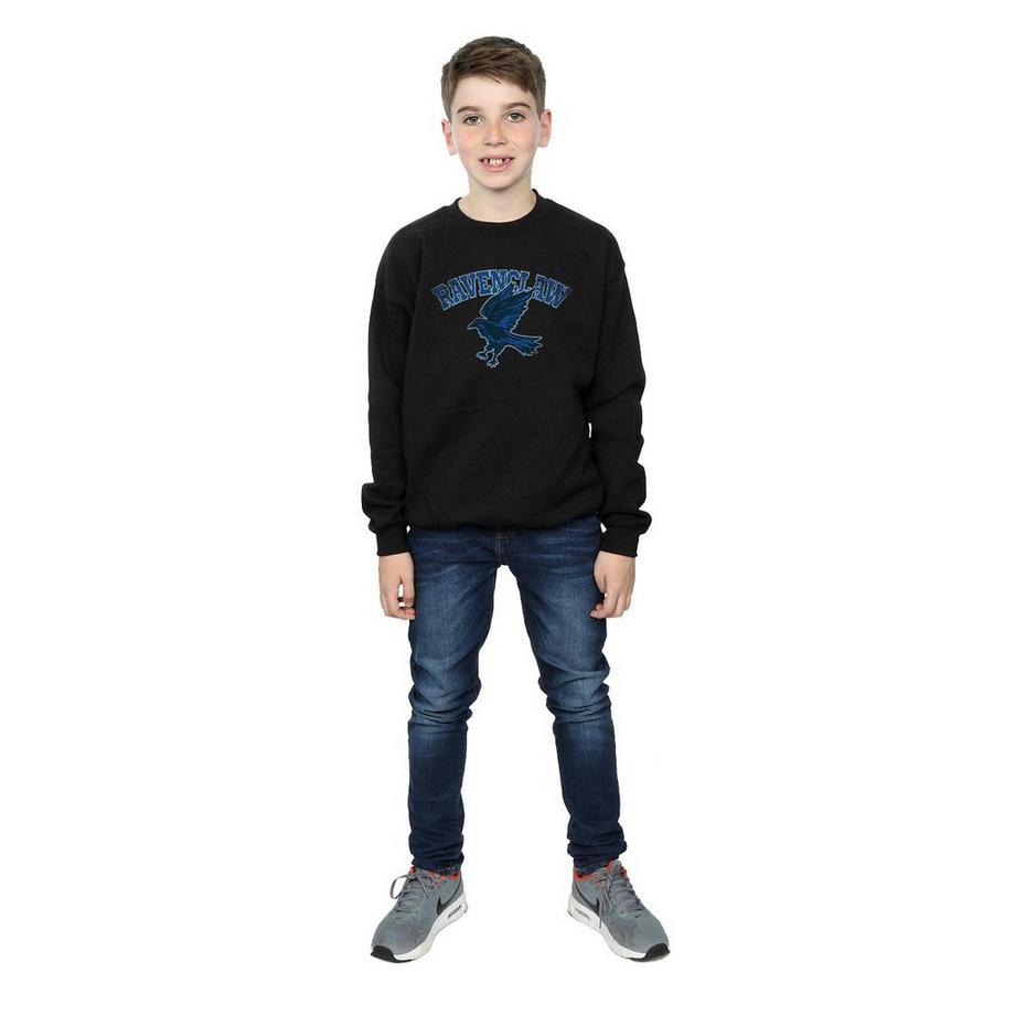 Harry Potter  Sweat RAVENCLAW 