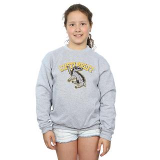 Harry Potter  Sweat 