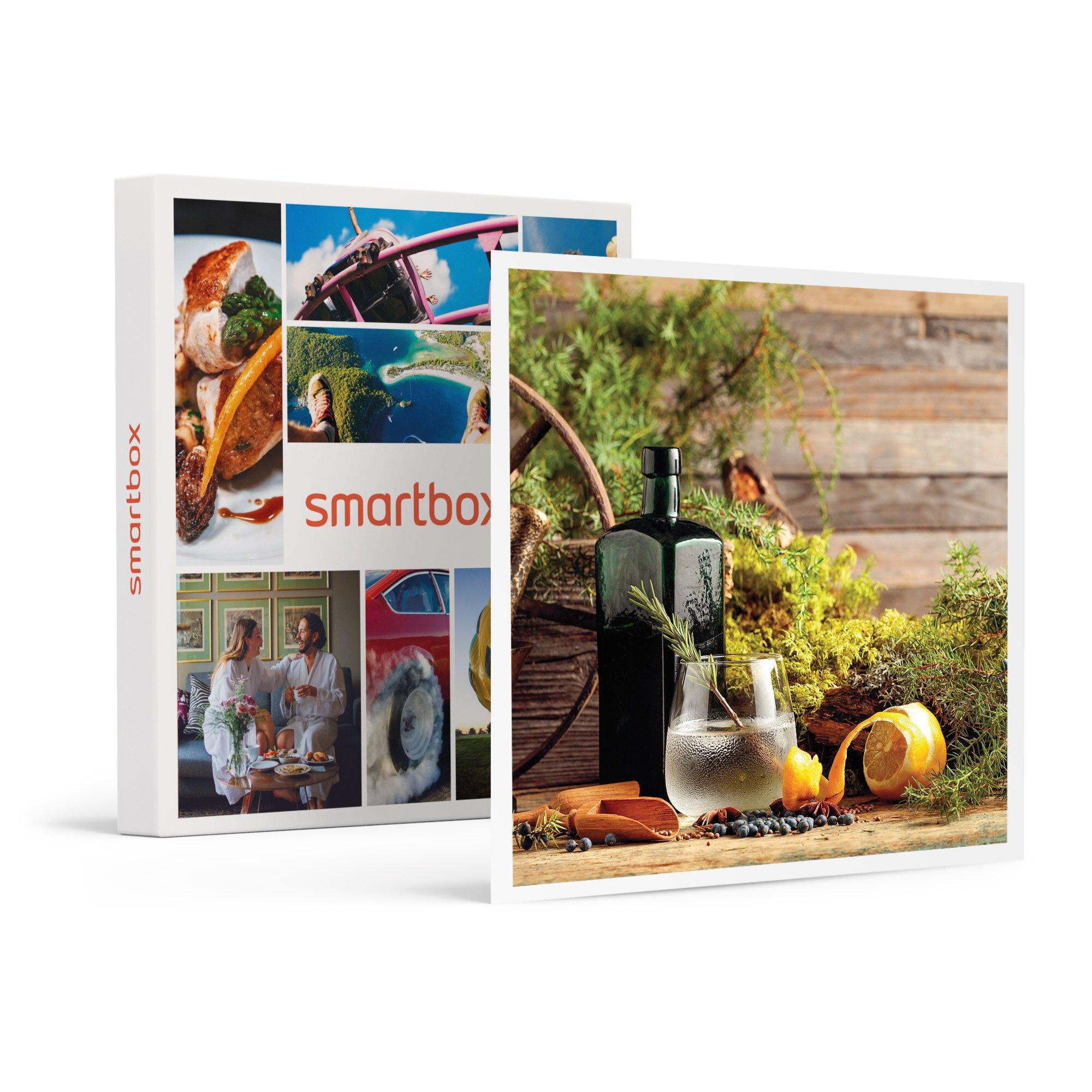 Smartbox  3 livraisons à domicile d'une bouteille de gin suisse artisanale - Coffret Cadeau 