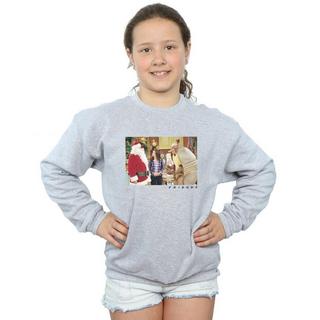 Friends  The Holiday Armadillo Sweatshirt 