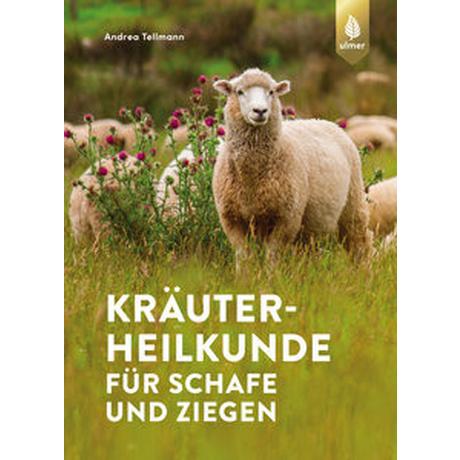 Kräuterheilkunde für Schafe und Ziegen Tellmann, Andrea Copertina rigida 