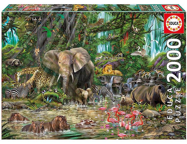 Image of Afrikaanse Jungle (2000)