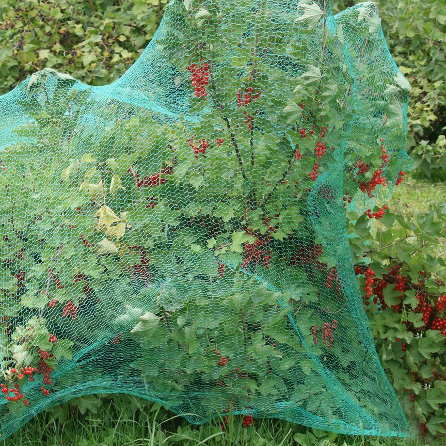 B2X  50 set con ancoraggio a terra 