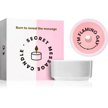 SMC I am flaming gay