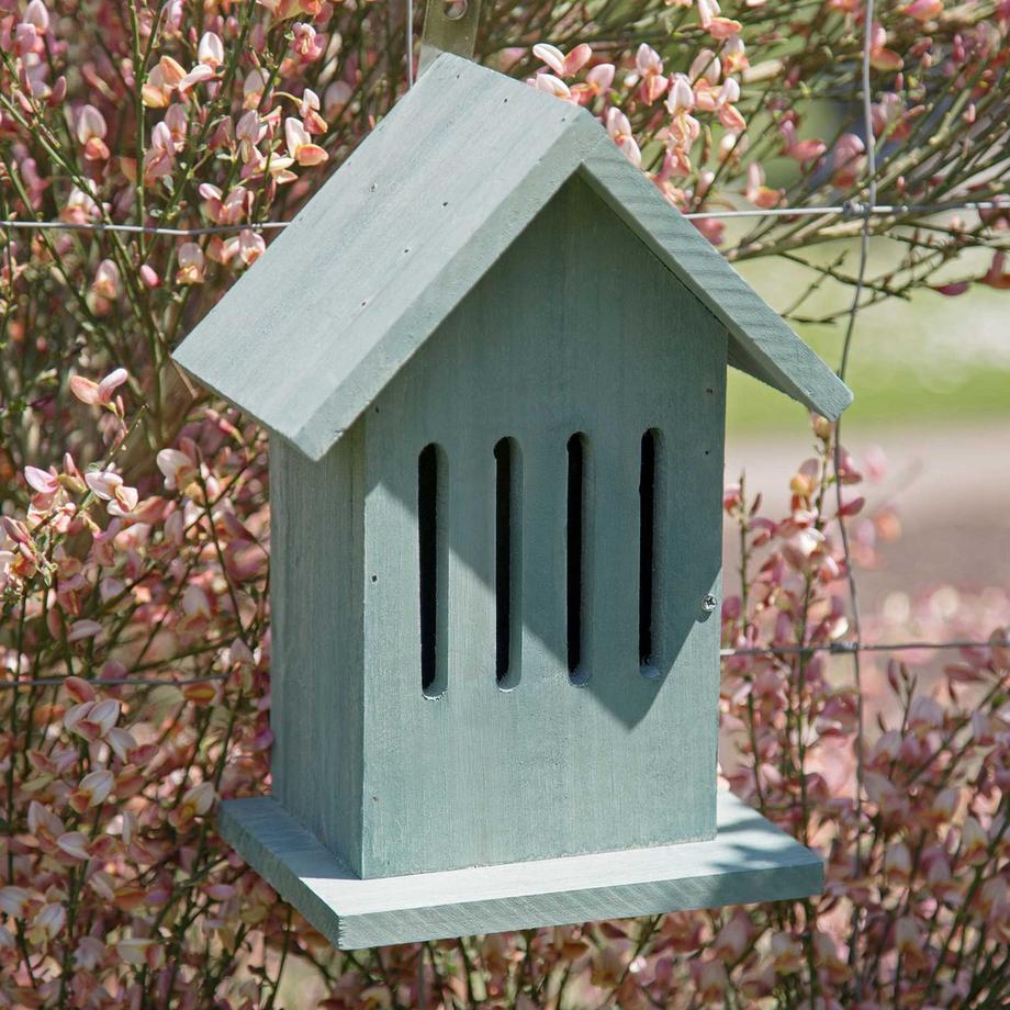 B2X  Hängendes Schmetterlingshaus in 2 Farben 