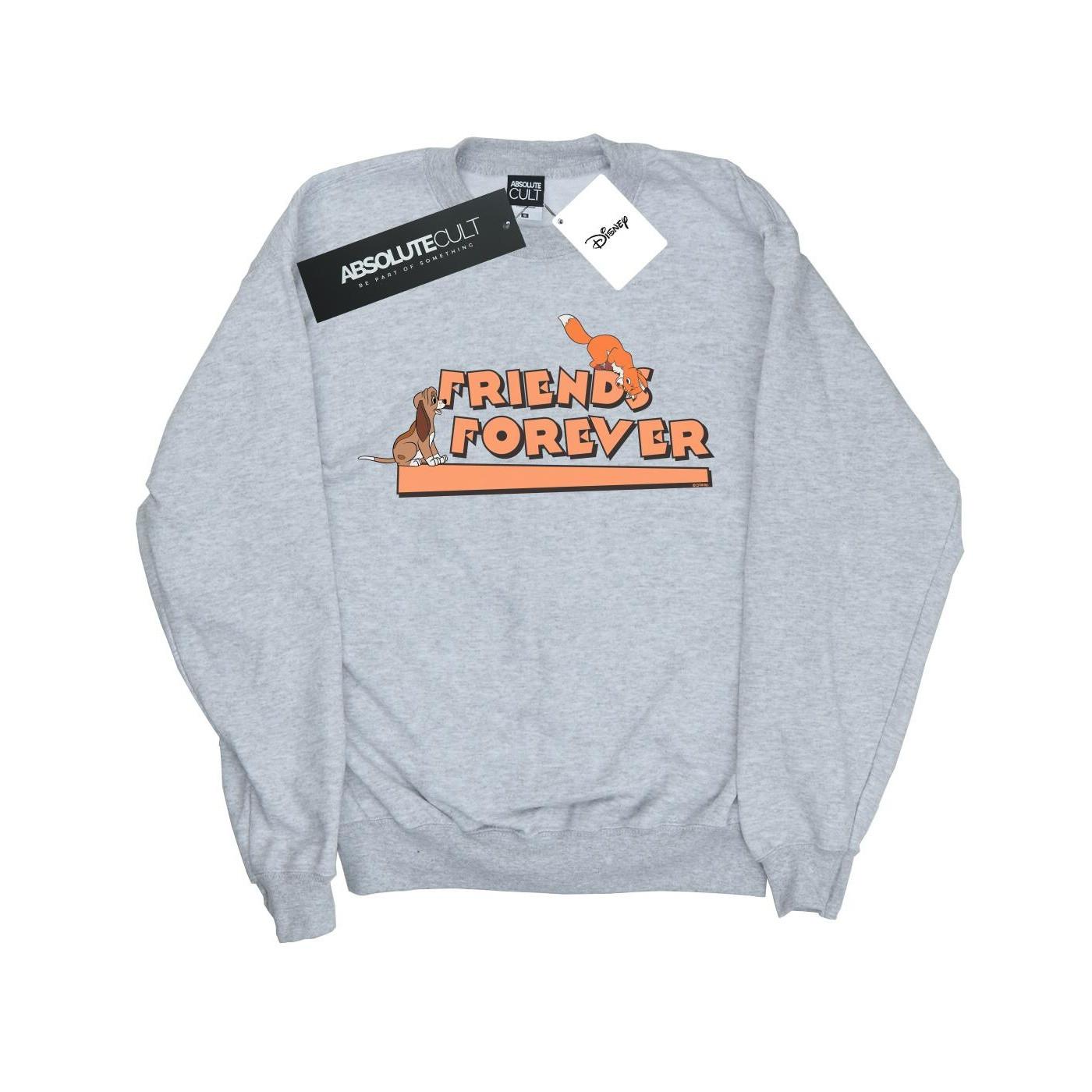 Image of Little Friends Forever Sweatshirt Unisex Grau 116