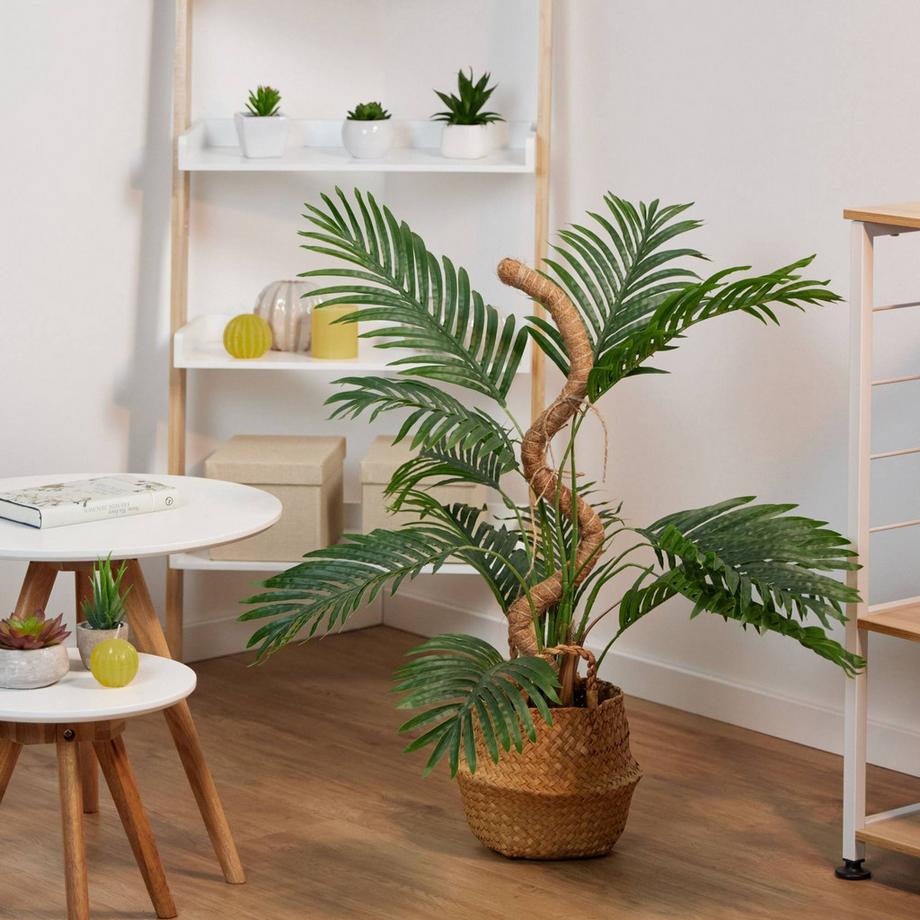 B2X lot de 5 bâtons de noix de coco 90 cm  