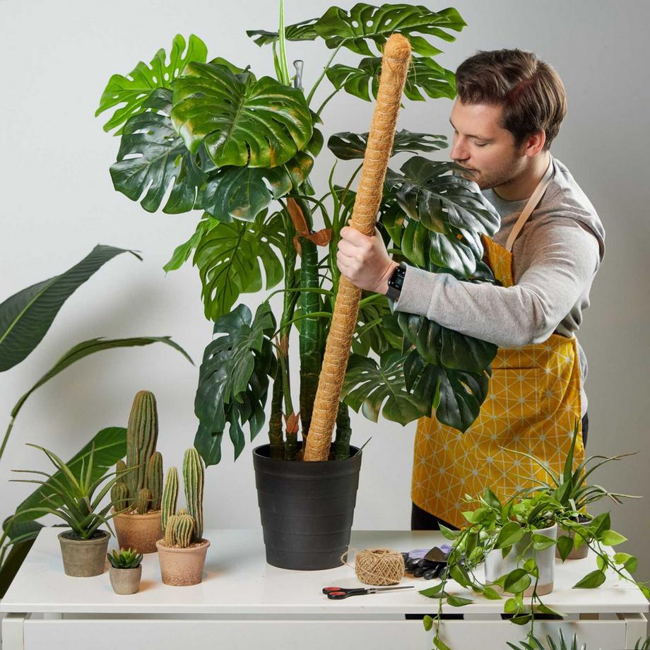 B2X lot de 5 bâtons de noix de coco 90 cm  