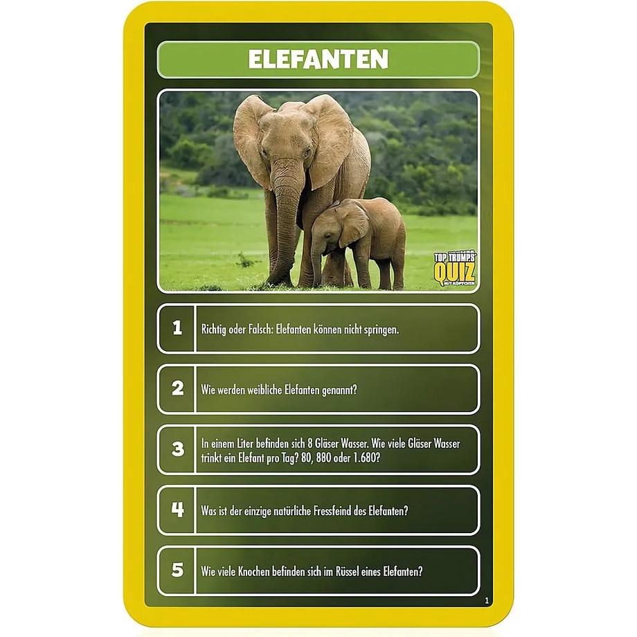 Winning Moves  Quiz - Welt der Tiere 
