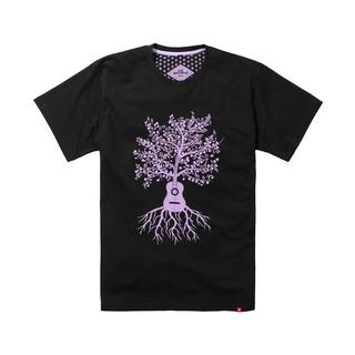 Joe Browns T-Shirt Grafica Albero Chitarra  