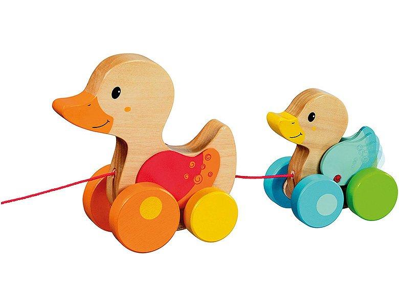 Image of Baby Ziehtier Entenfamilie