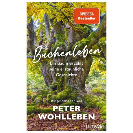 Buchenleben Wohlleben, Peter; Greune, Mascha (Illustrationen) Copertina rigida 