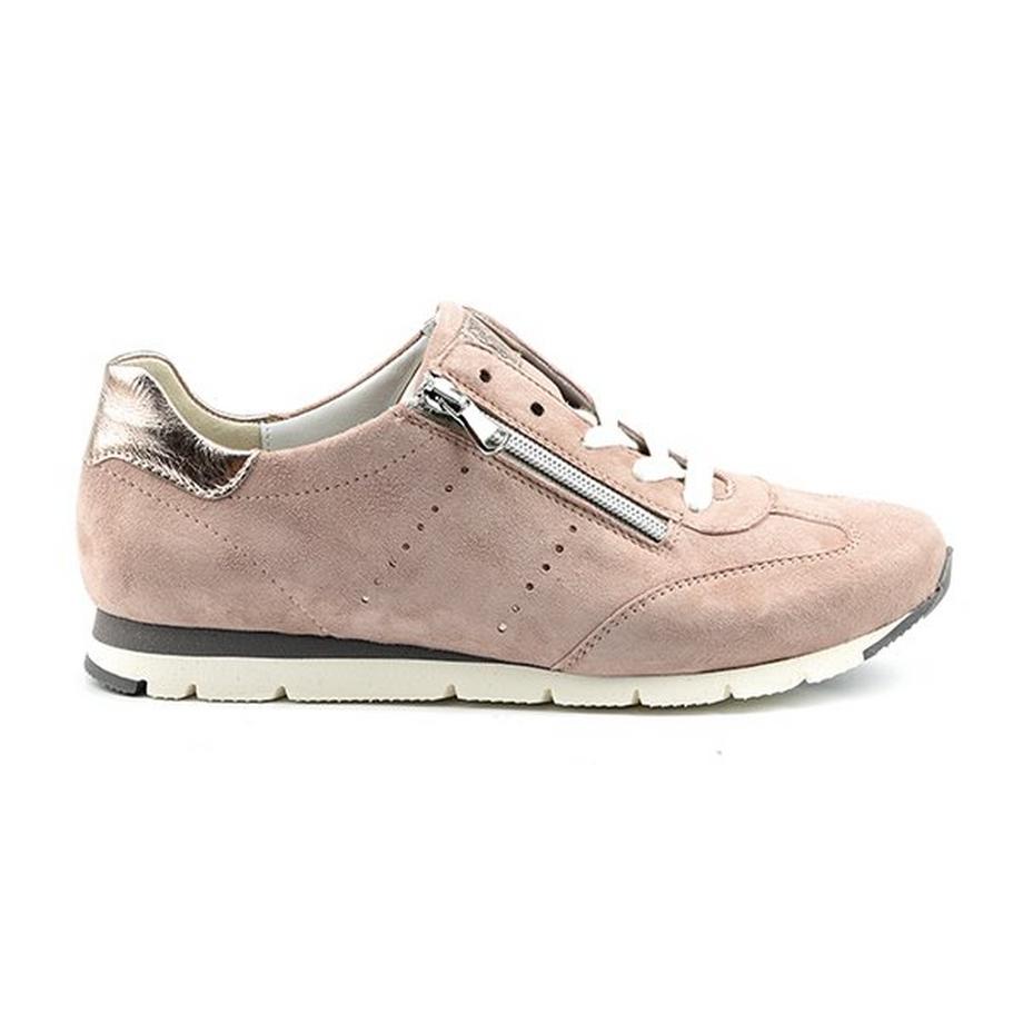 Semler Rosa-3.5 Baskets  