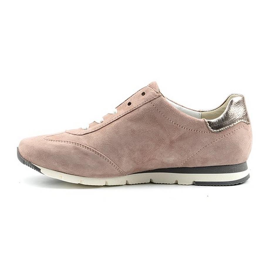 Semler Rosa-3.5 Baskets  