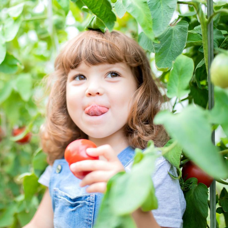 B2X  Pflanzstäbe 110 cm im 10er Set 