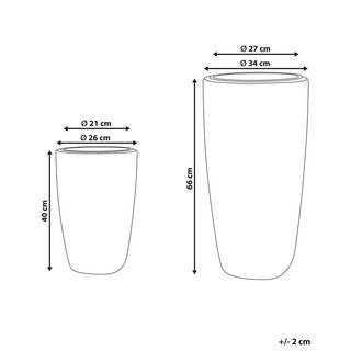 Beliani Set mit 2 Blumentöpfen aus PE Rattan Rustikal CHELONE  