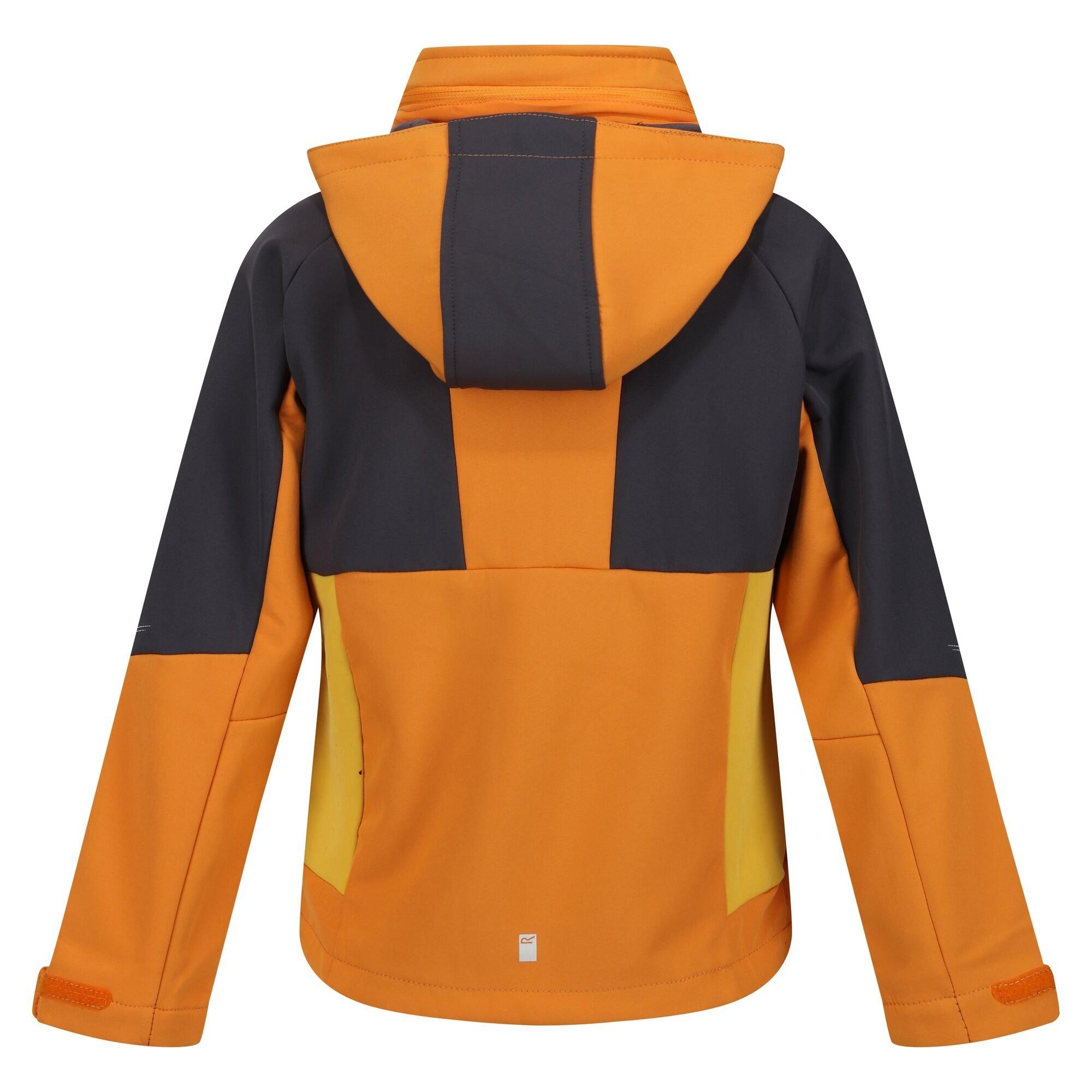 Regatta  Veste softshell HAYDENBURY Enfant 