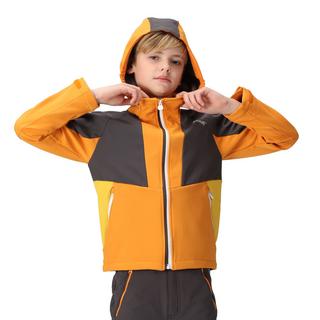 Regatta  Veste softshell HAYDENBURY Enfant 