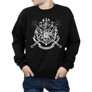 Harry Potter  Sweatshirt 