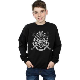 Harry Potter  Sweatshirt 