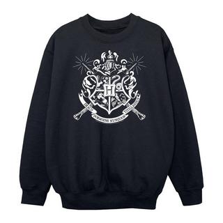 Harry Potter  Sweat 