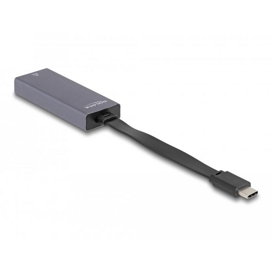 DeLock  DeLOCK 66248 changeur de genre de câble RJ-45 USB C Gris 
