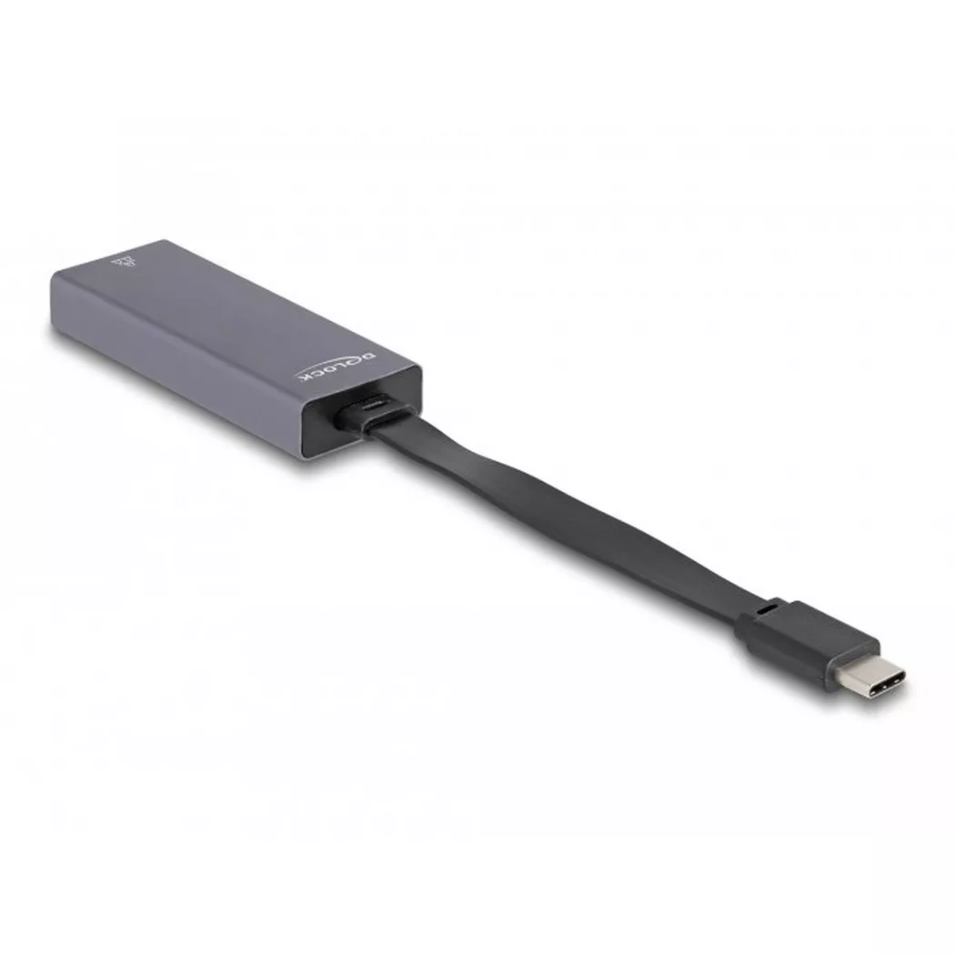 DeLock - DeLOCK 66248 changeur de genre de câble RJ-45 USB C Gris