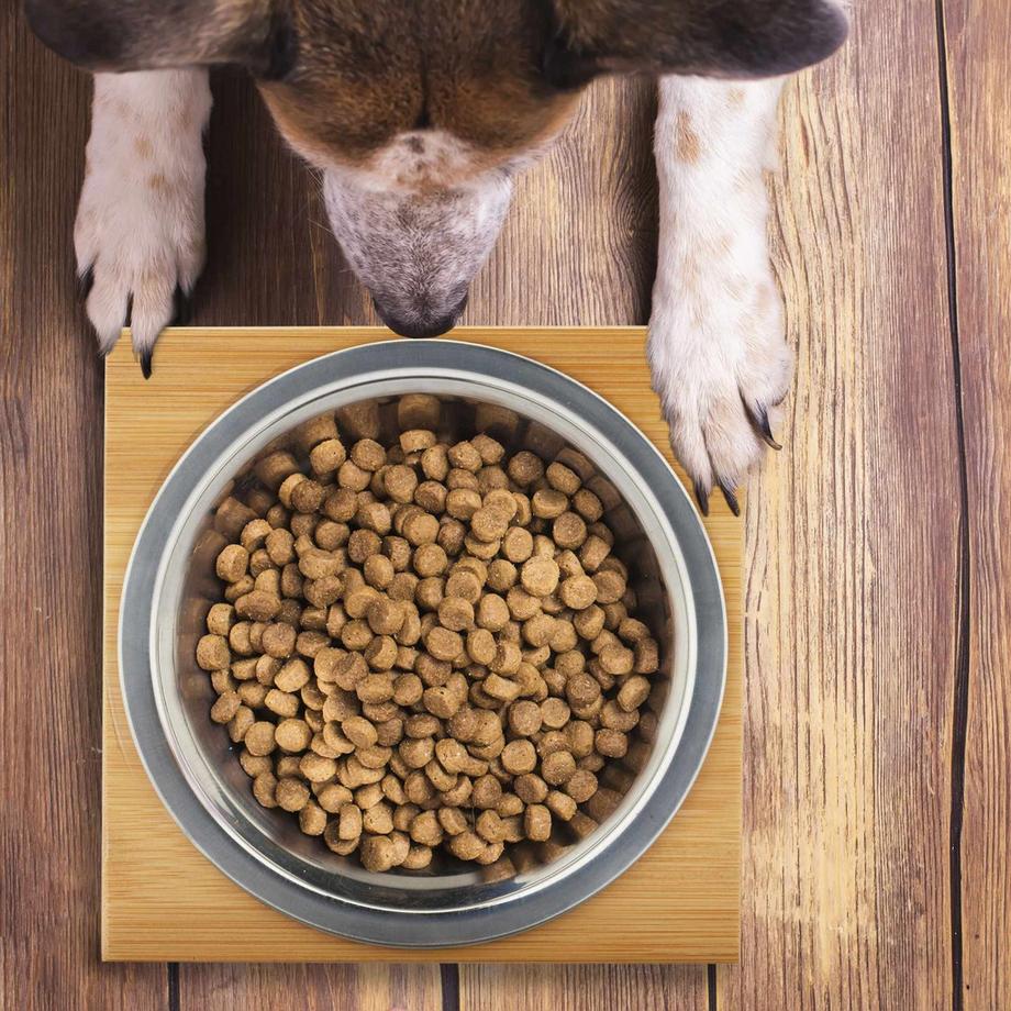 B2X  Gamelle pour chien 400 ml 