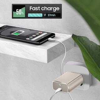 Google  Chargeur Google USB-C charge rapide Gris 