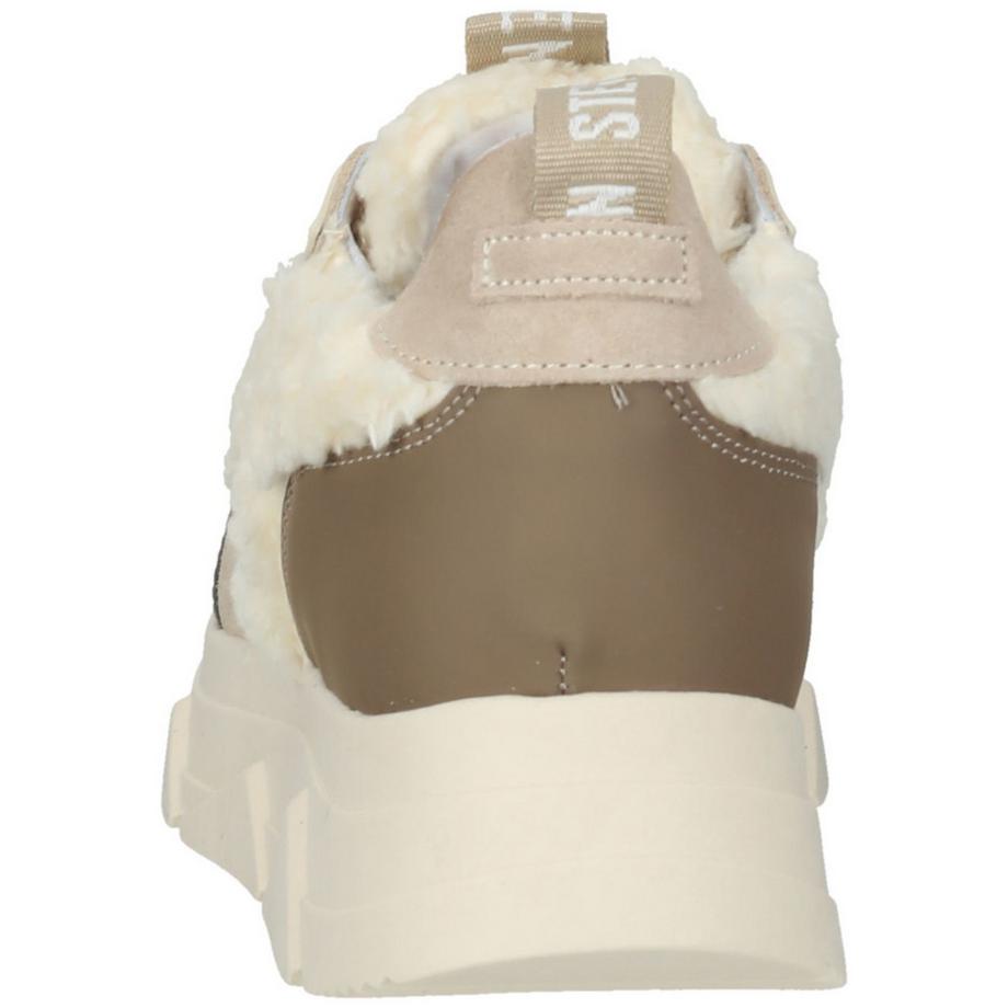 STEVE MADDEN  Sneaker 