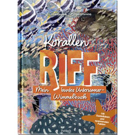 Korallenriff Bajerowicz, Katarzyna (Illustrationen) Gebundene Ausgabe 