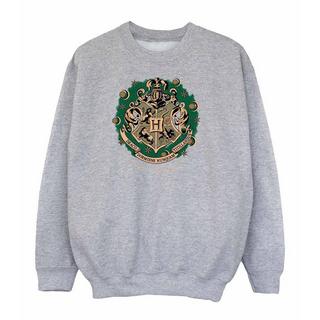 Harry Potter  Sweatshirt  weihnachtliches Design 