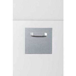 KARE Design Tableau en verre Bath lionne 60x80  