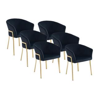 PASCAL MORABITO Lot de 6 chaises avec accoudoirs en velours et métal doré - Noir - ZAOVA de Pascal MORABITO  