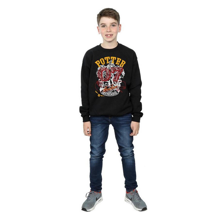 Harry Potter  Sweat GRYFFINDOR SEEKER 