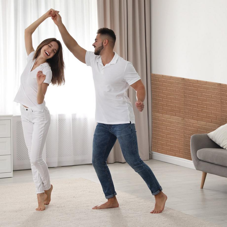 B2X  Dekorplast Ziegelstein 10er Set 