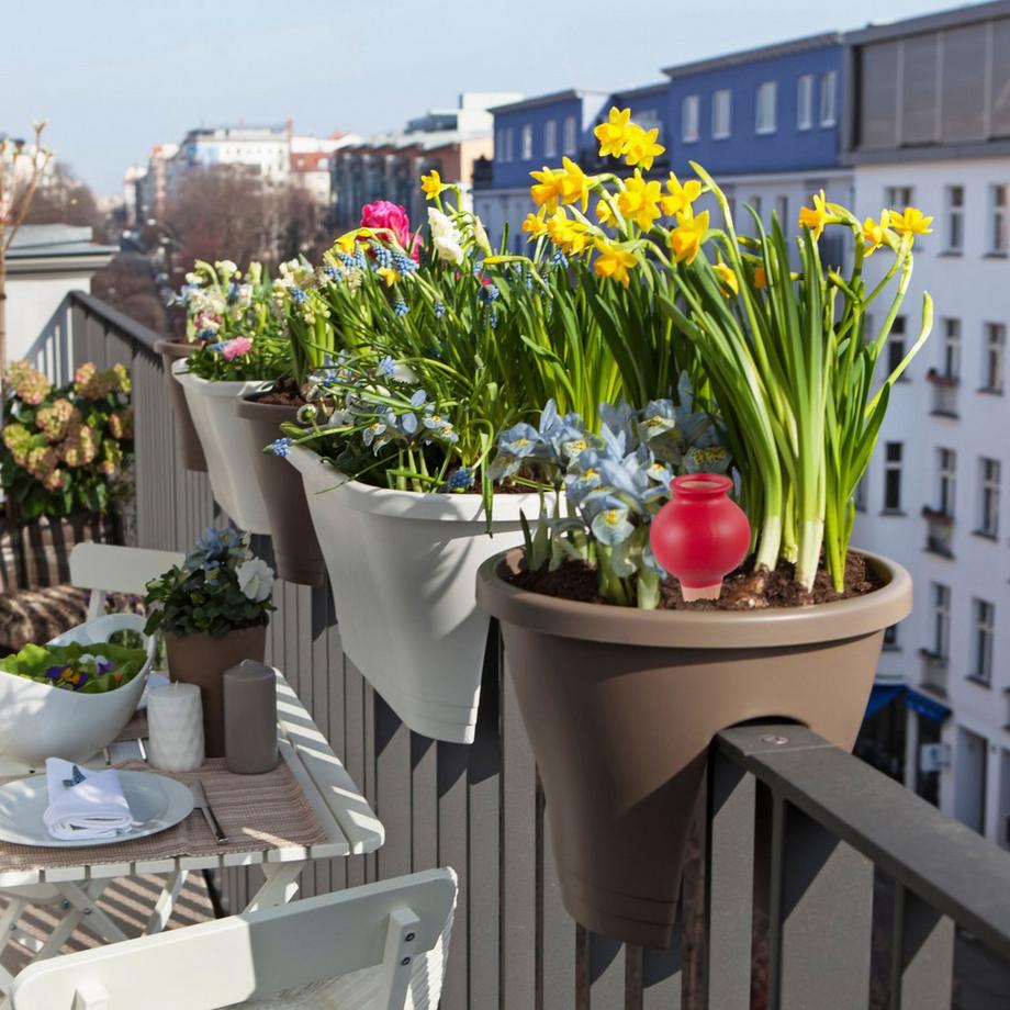 B2X  Tonspitzen Bewässerung 4er Set 