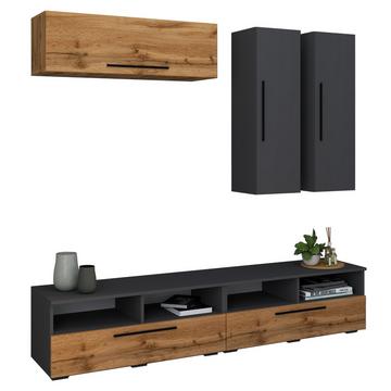 TV Lowboard Fernsehschrank Schrankwand Wohnzimmer Anbauwand Wohnwand Arila XL