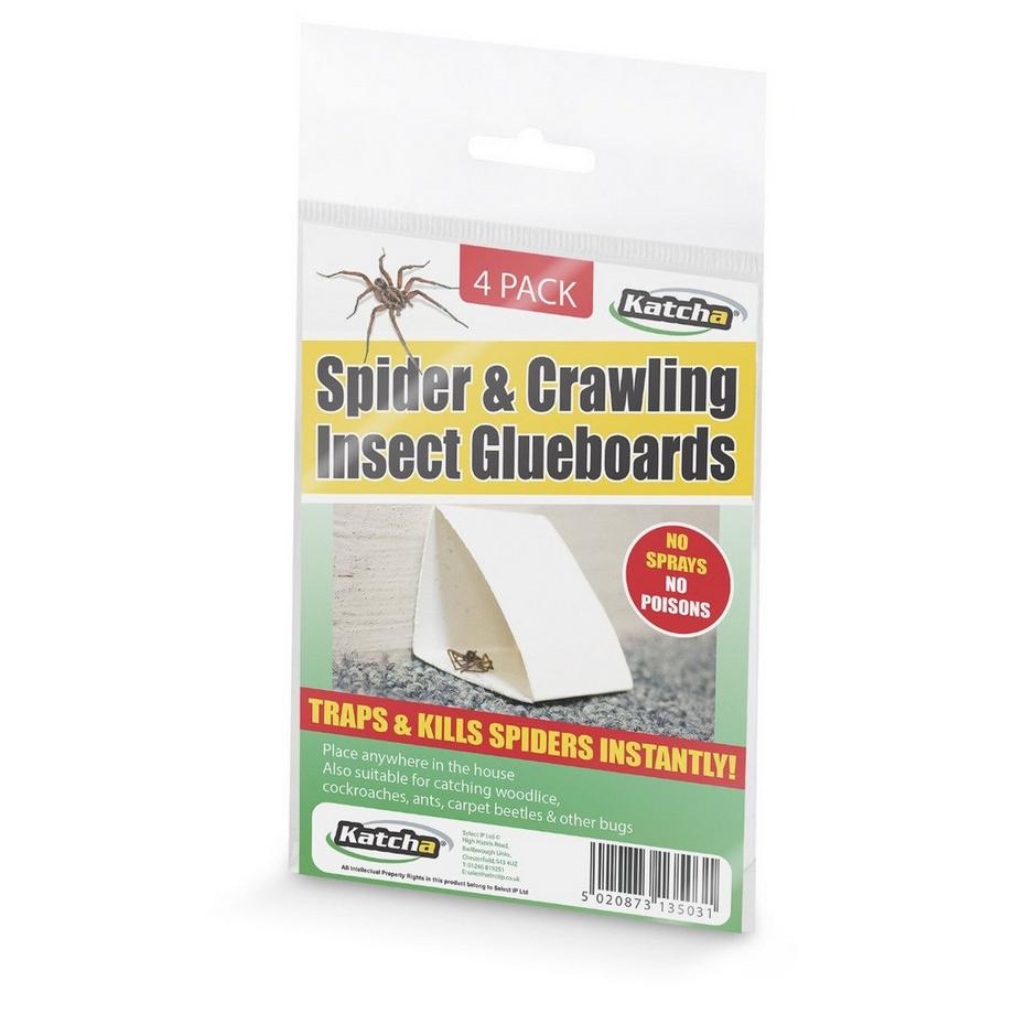 Katcha Klebefalle Spinnen & Insekten  