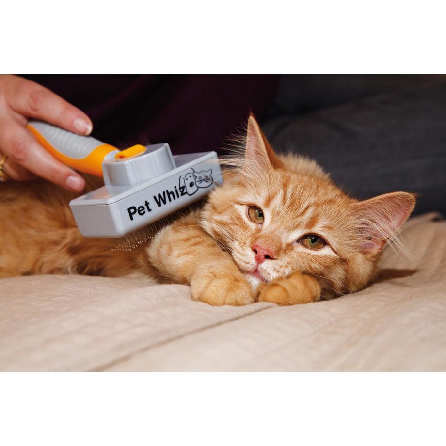 INDUSTEX  Pet Whiz-Brosse pour animaux domestiques 