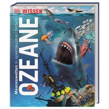 DK Wissen. Ozeane Harvey, Derek; Temple, Nicola; Woodward, John; Matthiesen, Stephan (Übersetzung) Gebundene Ausgabe 