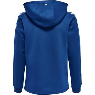 Hummel  kinder-hoodie hmlcore xk 