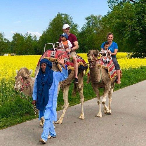 Image of Kamel-reiten Für 1 Person Unisex