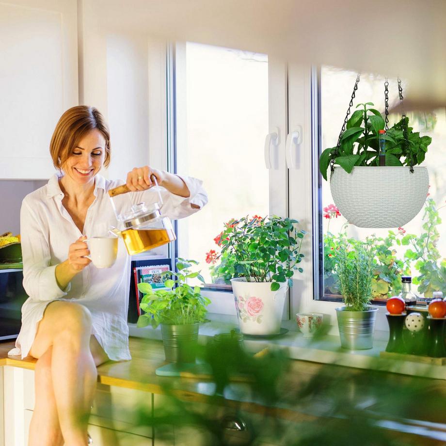 B2X Cesto sospeso con contenitore per l'acqua, set da 2  