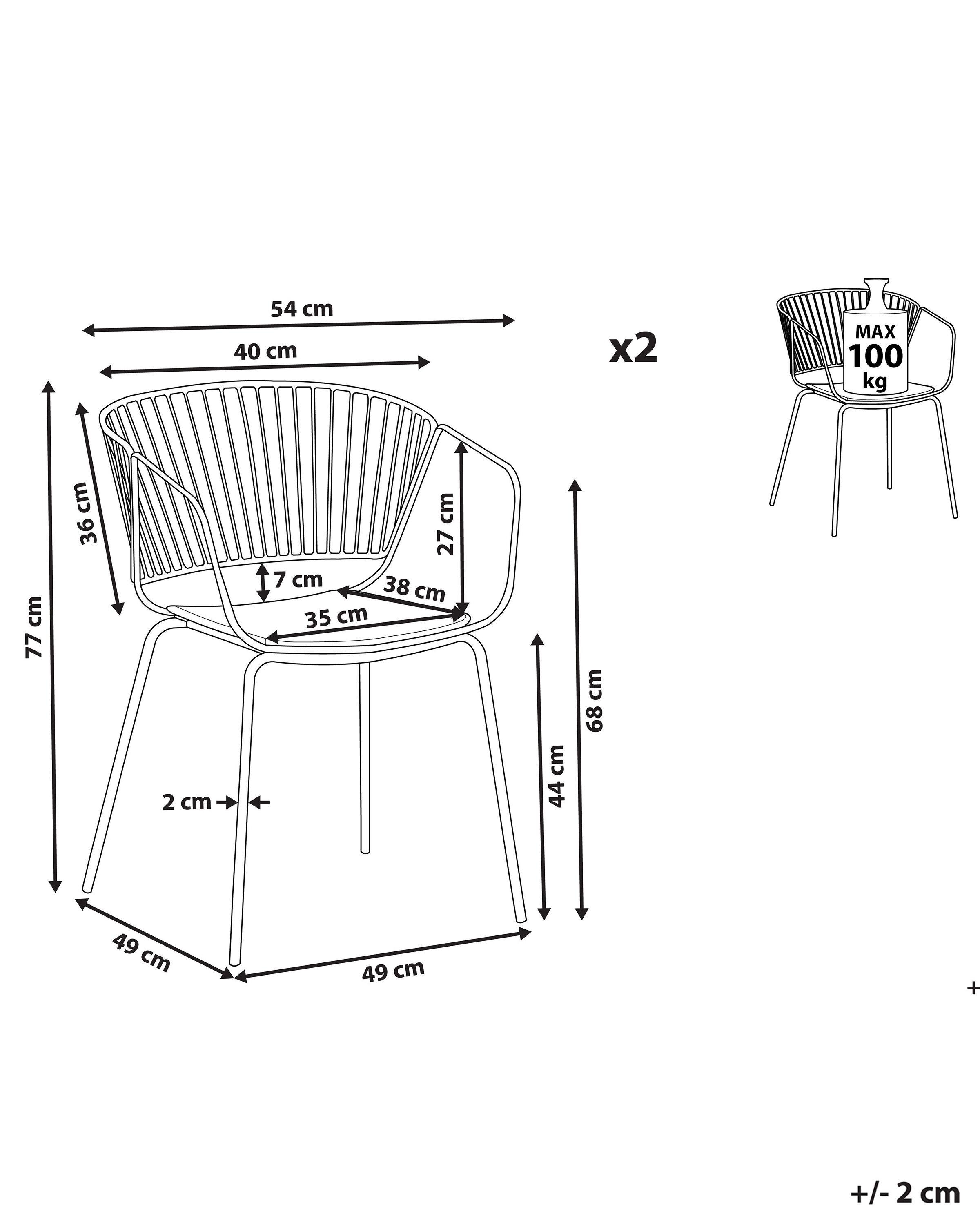 Beliani Lot de 2 chaises en Acier Moderne RIGBY  