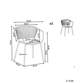 Beliani Lot de 2 chaises en Acier Moderne RIGBY  