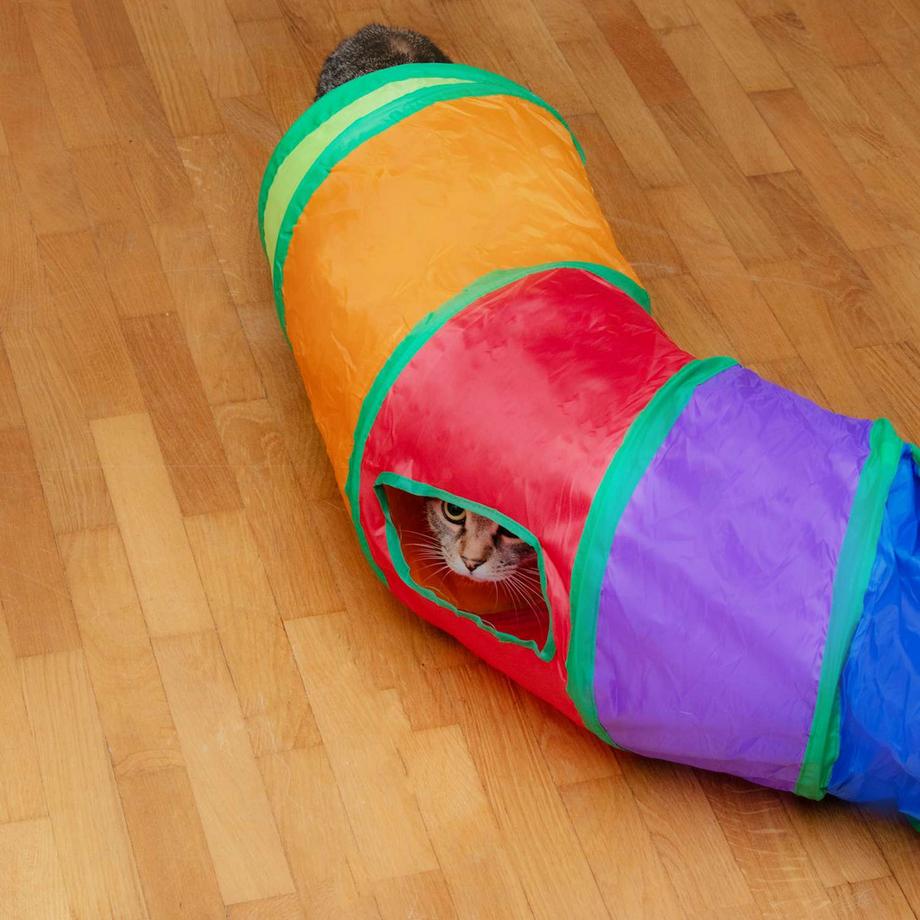 Intirilife  Katzentunnel Spielzeug 