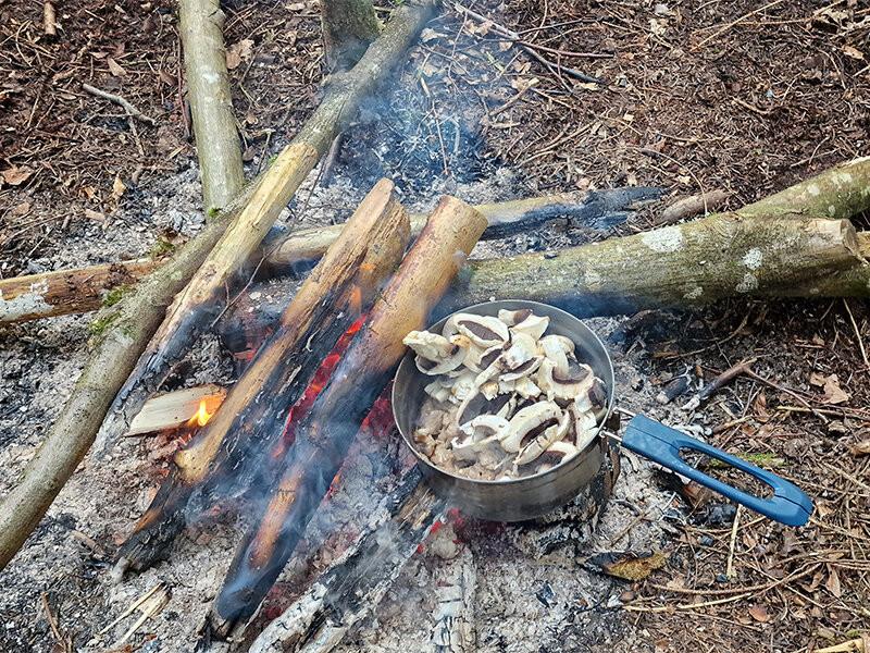 Smartbox  L'appel de la nature sauvage lors d'un cours de survie à Saint-Gall pour 1 personne - Coffret Cadeau 